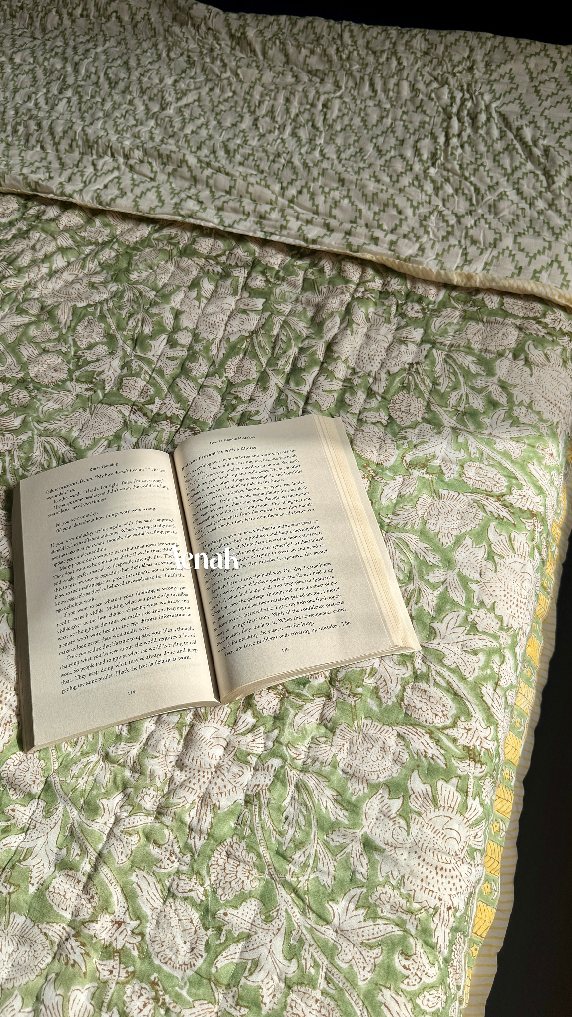 Green Gadd Handblock Printe Reversible Mulmul Cotton Quilt